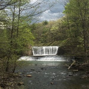 Meet your Posher, Beatriz